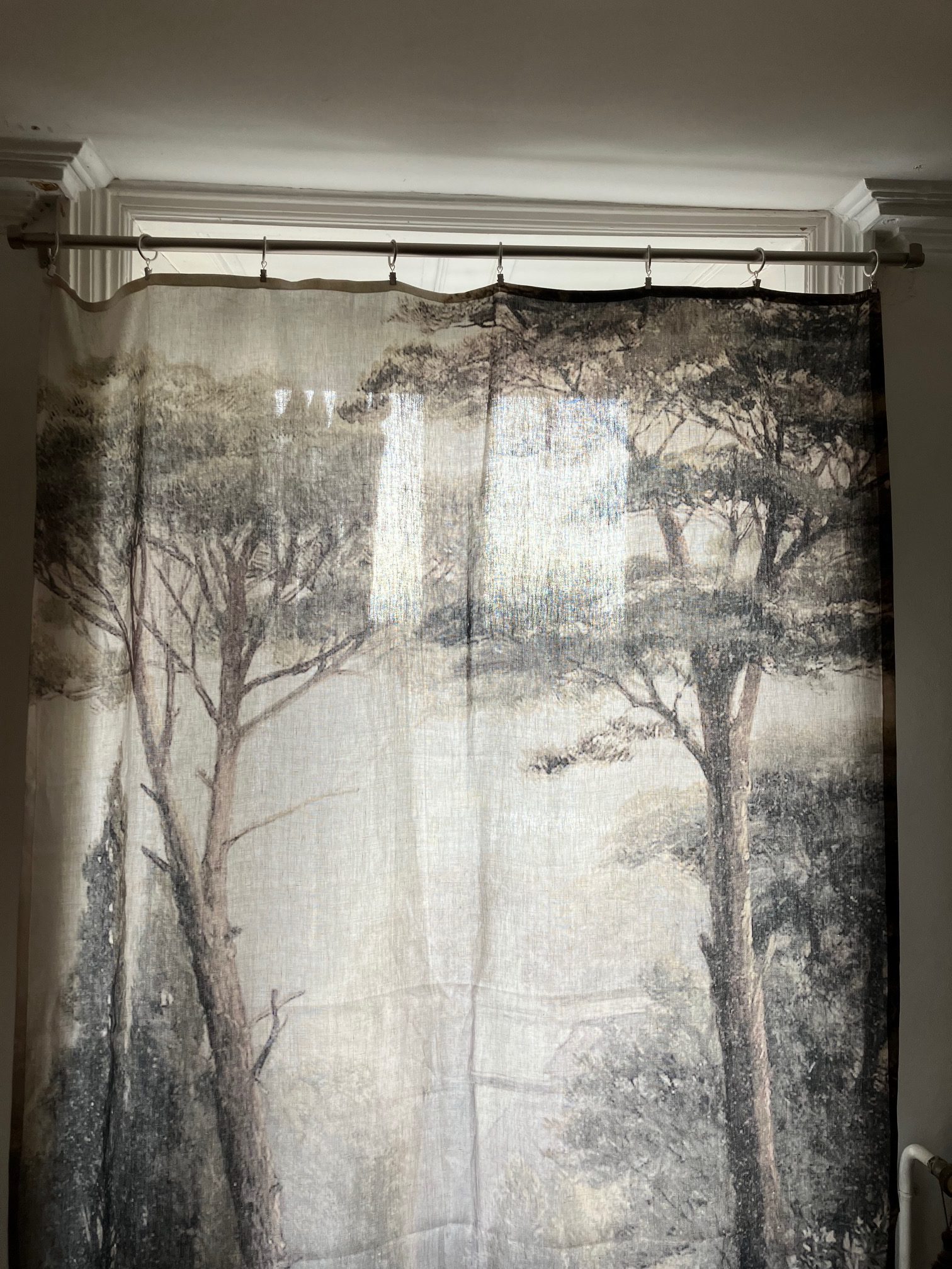 Murmure des forêts – Image 3