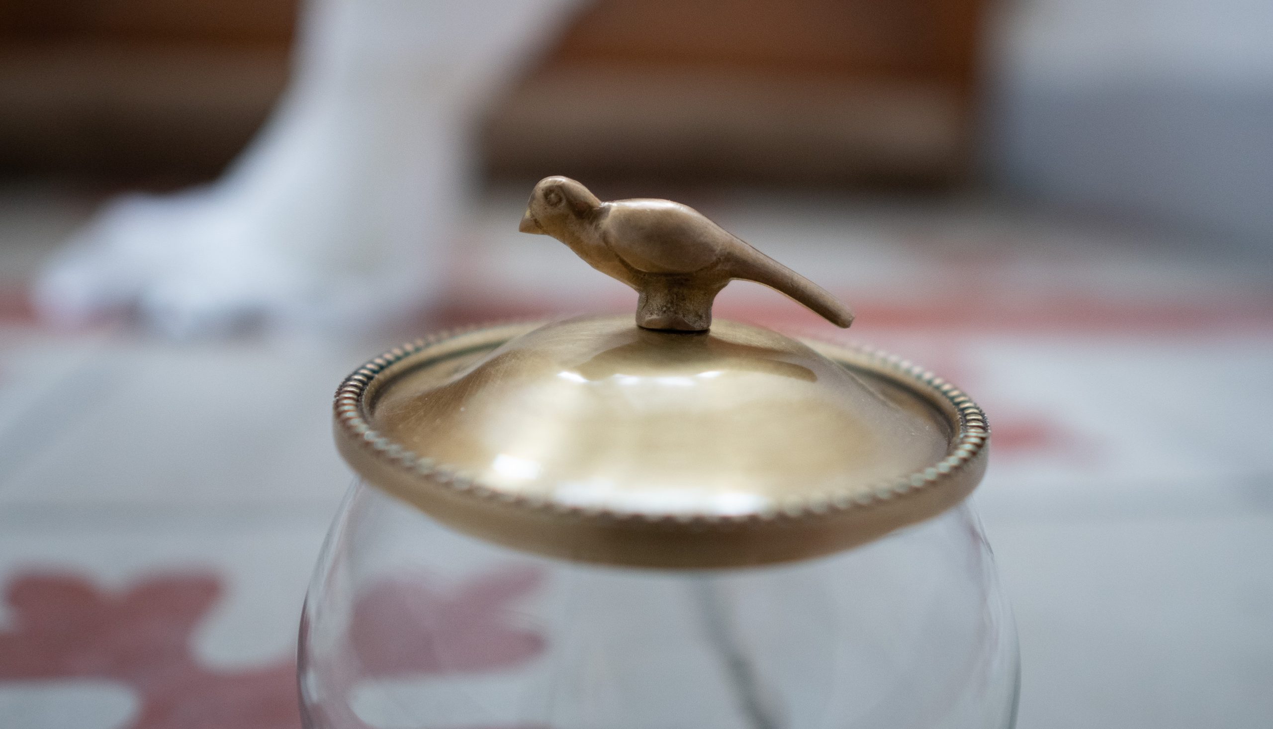 Boîte - Le chant de l'oiseau