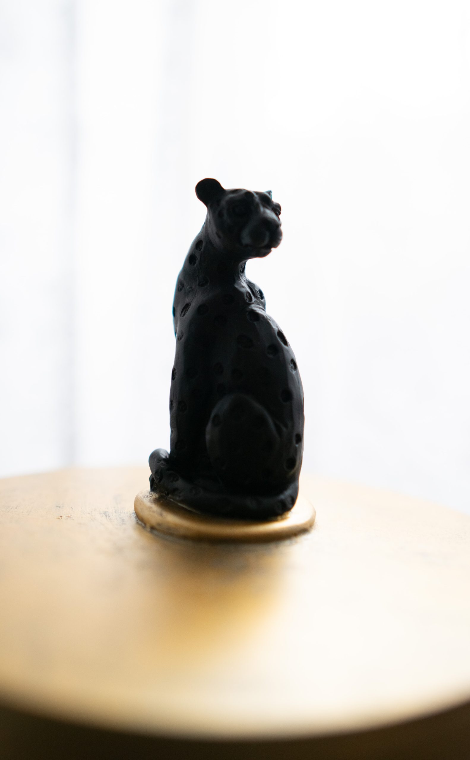 Boîte - Secrets de la panthère – Image 2
