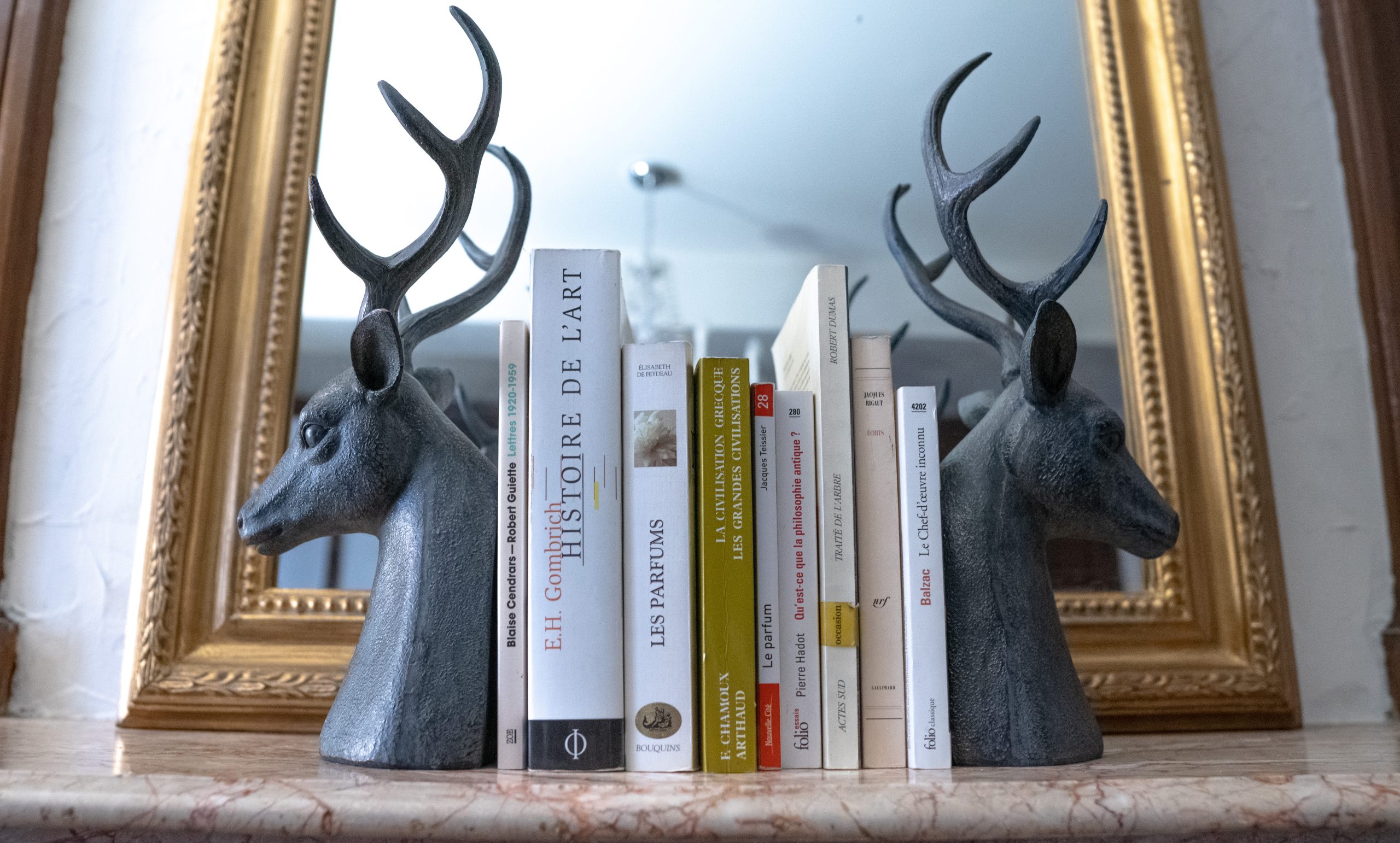 Serre-livres LE ROI DES FORETS